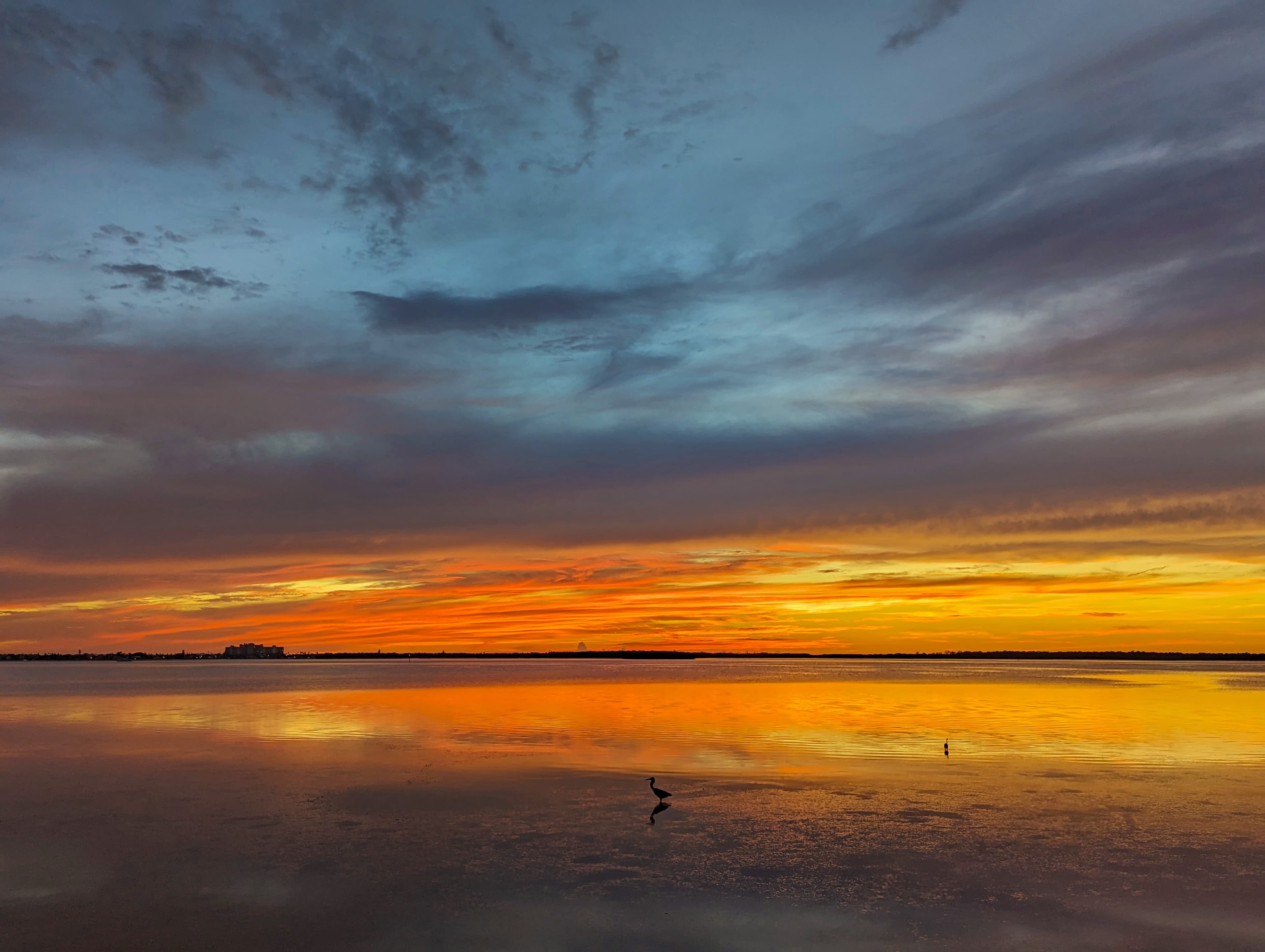 Sunset over calm Gulf Coast water, with shorebirds in the shallows